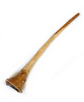 Диджериду купить в Москве: цены, доставка, фото Диджериду купить в Москве: цены, доставка, фото