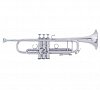 Труба Bb BACH AB190S Stradivarius купить в Москве: цены, доставка, фото