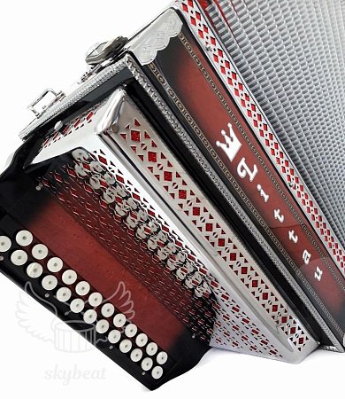 Гармонь многотембровая Littau 25/25/6/4 rd купить в Москве: цены, доставка, фото Гармонь многотембровая Littau 25/25/6/4 rd купить в Москве: цены, доставка, фото