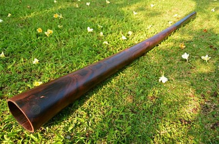 Диджериду из палисандра с сменными мундштуками продажа в Москве Диджериду из палисандра с сменными мундштуками купить в Москве: цены, доставка, фото