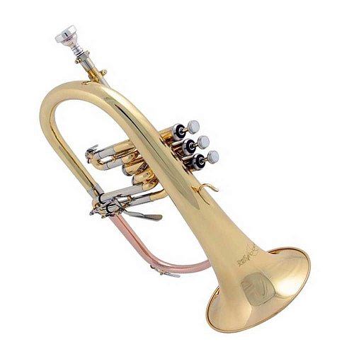 Флюгельгорн Bb Prelude by Bach FH-600 купить в Москве: цены, доставка, фото Флюгельгорн Bb Prelude by Bach FH-600 купить в Москве: цены, доставка, фото