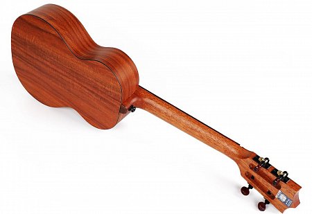 Укулеле Enya EUT-X1 купить в Москве: цены, доставка, фото Укулеле Enya EUT-X1 купить в Москве: цены, доставка, фото