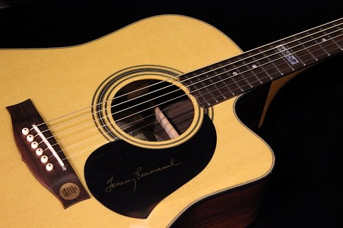 Гитара Maton TE1 купить в Москве: цены, доставка, фото Гитара Maton TE1 купить в Москве: цены, доставка, фото