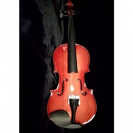 Скрипка BRAHNER BVC-470T/RDS 4/4 купить в Москве: цены, доставка, фото Скрипка BRAHNER BVC-470T/RDS 4/4 купить в Москве: цены, доставка, фото