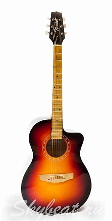 Акустическая гитара Trembita б/у купить в Москве: цены, доставка, фото Акустическая гитара Trembita б/у купить в Москве: цены, доставка, фото