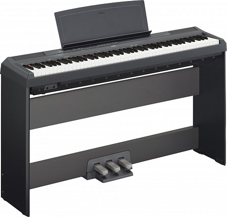YAMAHA P-115B цифровое пианино купить в Москве: цены, доставка, фото YAMAHA P-115B цифровое пианино купить в Москве: цены, доставка, фото