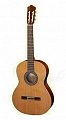 Гитара классическая CUENCA мод. 10 размер 4/4 купить в Москве: цены, доставка, фото Гитара классическая CUENCA мод. 10 размер 4/4 купить в Москве: цены, доставка, фото