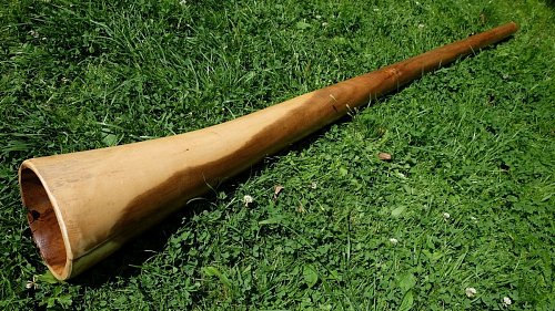 Диджериду из жёлтого эвкалипта 172 см – Нота До# elbm1c продажа в Москве Диджериду из жёлтого эвкалипта 172 см – Нота До# elbm1c купить в Москве: цены, доставка, фото