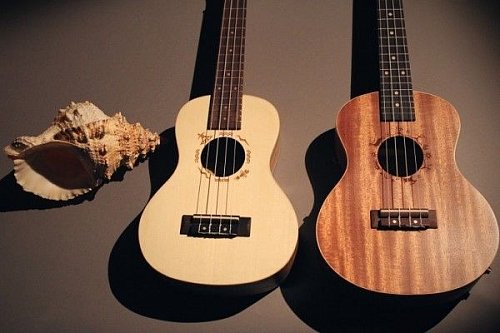 Укулеле FLIGHT DUC 325 CEQ SP/ZEB купить в Москве: цены, доставка, фото Укулеле FLIGHT DUC 325 CEQ SP/ZEB купить в Москве: цены, доставка, фото