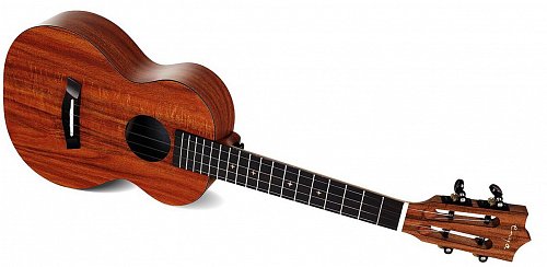 Укулеле Enya EUT-X1 купить в Москве: цены, доставка, фото Укулеле Enya EUT-X1 купить в Москве: цены, доставка, фото