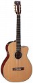TAKAMINE LEGACY TF740FS классическая электроакустическая гитара типа FXC CUTAVAY, цвет натуральный купить в Москве: цены, доставка, фото TAKAMINE LEGACY TF740FS классическая электроакустическая гитара типа FXC CUTAVAY, цвет натуральный купить в Москве: цены, доставка, фото