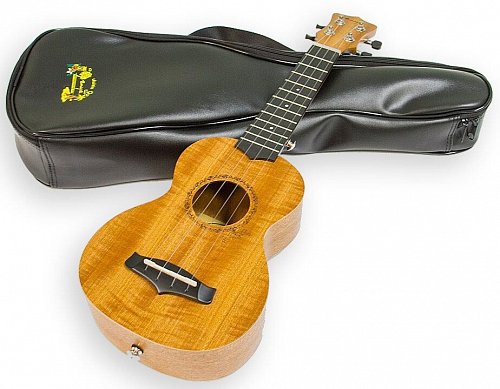 Укулеле Enya EUS-20 купить в Москве: цены, доставка, фото Укулеле Enya EUS-20 купить в Москве: цены, доставка, фото
