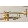 Труба ‘’Bb” BRAHNER TR-3000GP купить в Москве: цены, доставка, фото Труба ‘’Bb” BRAHNER TR-3000GP купить в Москве: цены, доставка, фото