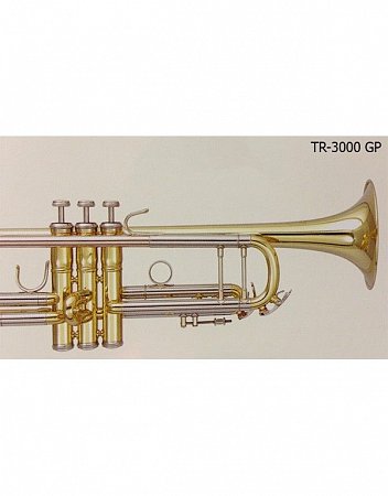 Труба ‘’Bb” BRAHNER TR-3000GP купить в Москве: цены, доставка, фото Труба ‘’Bb” BRAHNER TR-3000GP купить в Москве: цены, доставка, фото