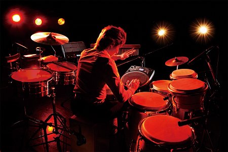 ROLAND HPD-20 Hand Sonic купить в Москве: цены, доставка, фото ROLAND HPD-20 Hand Sonic купить в Москве: цены, доставка, фото