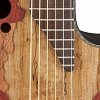 OVATION CE44P-SM Celebrity Elite Plus Mid Cutaway Natural Spalted Maple электроакустическая гитара купить в Москве: цены, доставка, фото OVATION CE44P-SM Celebrity Elite Plus Mid Cutaway Natural Spalted Maple электроакустическая гитара купить в Москве: цены, доставка, фото