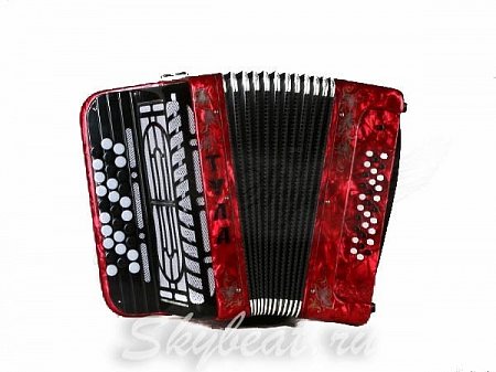 Баян ТУЛА, 30x30-I, выборный (чехол + 2 ремня в комплекте) купить в Москве: цены, доставка, фото Баян ТУЛА, 30x30-I, выборный (чехол + 2 ремня в комплекте) купить в Москве: цены, доставка, фото