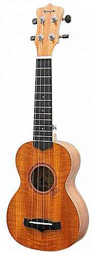 Укулеле Enya EUS-20 купить в Москве: цены, доставка, фото Укулеле Enya EUS-20 купить в Москве: цены, доставка, фото