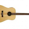 PEAVEY DW-3 Acoustic NAT Электроакустическая гитара с тюнером купить в Москве: цены, доставка, фото PEAVEY DW-3 Acoustic NAT Электроакустическая гитара с тюнером купить в Москве: цены, доставка, фото