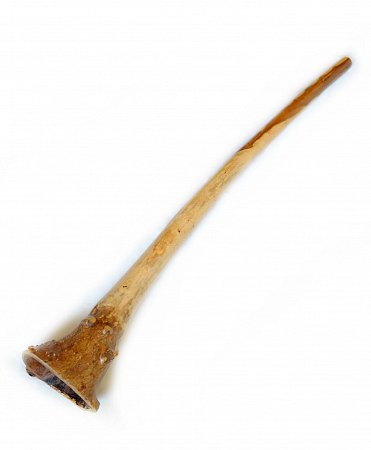 Диджериду эвкалипт корень 150 см – Ре# продажа в Москве Диджериду эвкалипт корень 150 см – Ре# купить в Москве: цены, доставка, фото