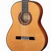 2.304 Classical Conservatory 7C Классическая гитара, Alhambra купить в Москве: цены, доставка, фото 2.304 Classical Conservatory 7C Классическая гитара, Alhambra купить в Москве: цены, доставка, фото