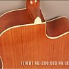 Электроакустическая гитара FLIGHT AD-200 CEQ NA LH купить в Москве: цены, доставка, фото Электроакустическая гитара FLIGHT AD-200 CEQ NA LH купить в Москве: цены, доставка, фото