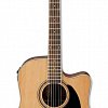 IBANEZ PF17ECE-LG DREADNOUGHT электроакустическая гитара купить в Москве: цены, доставка, фото IBANEZ PF17ECE-LG DREADNOUGHT электроакустическая гитара купить в Москве: цены, доставка, фото