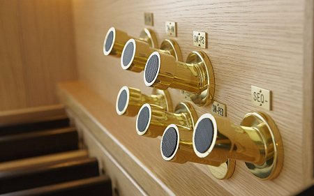 Johannus ECCLESIA Series Ecclesia D350 + Speakers купить в Москве: цены, доставка, фото Johannus ECCLESIA Series Ecclesia D350 + Speakers купить в Москве: цены, доставка, фото