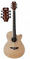 Акустическая гитара ALINA SG-500 купить в Москве: цены, доставка, фото Акустическая гитара ALINA SG-500 купить в Москве: цены, доставка, фото