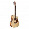 Гитара Maton SRS808C купить в Москве: цены, доставка, фото Гитара Maton SRS808C купить в Москве: цены, доставка, фото