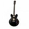 EPIPHONE DOT EBONY полуакустическая электрогитара купить в Москве: цены, доставка, фото EPIPHONE DOT EBONY полуакустическая электрогитара купить в Москве: цены, доставка, фото