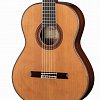 2.303 Classical Conservatory 7P Классическая гитара, Alhambra купить в Москве: цены, доставка, фото 2.303 Classical Conservatory 7P Классическая гитара, Alhambra купить в Москве: цены, доставка, фото