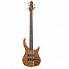 PEAVEY Cirrus 5 Figured Mahagony 5-струнная бас-гитара купить в Москве: цены, доставка, фото PEAVEY Cirrus 5 Figured Mahagony 5-струнная бас-гитара купить в Москве: цены, доставка, фото