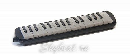 Мелодика духовая SkyBeat 32 купить в Москве: цены, доставка, фото Мелодика духовая SkyBeat 32 купить в Москве: цены, доставка, фото