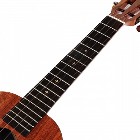 Укулеле Enya EUT-X1 купить в Москве: цены, доставка, фото Укулеле Enya EUT-X1 купить в Москве: цены, доставка, фото