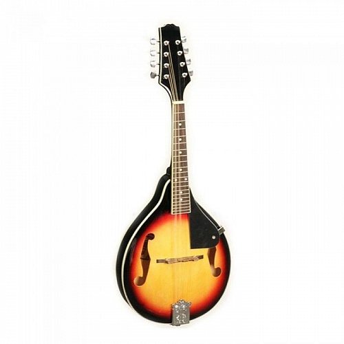 Мандолина AXL MD-100 купить в Москве: цены, доставка, фото Мандолина AXL MD-100 купить в Москве: цены, доставка, фото