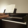 Kawai KDP90 цифровое пианино/Цвет палисандр матовый купить в Москве: цены, доставка, фото Kawai KDP90 цифровое пианино/Цвет палисандр матовый купить в Москве: цены, доставка, фото