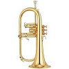 Флюгельгорн Yamaha YFH-6310Z купить в Москве: цены, доставка, фото Флюгельгорн Yamaha YFH-6310Z купить в Москве: цены, доставка, фото