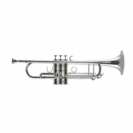 Труба Trevor James Renaissance TJTR8500SP Bb купить в Москве: цены, доставка, фото