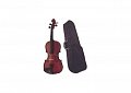Скрипка BRAHNER BV-304F 1/2 (КОМПЛЕКТ - кейс + смычок) купить в Москве: цены, доставка, фото Скрипка BRAHNER BV-304F 1/2 (КОМПЛЕКТ - кейс + смычок) купить в Москве: цены, доставка, фото