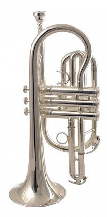 Корнет WISEMANN DCT-500SP купить в Москве: цены, доставка, фото Корнет WISEMANN DCT-500SP купить в Москве: цены, доставка, фото