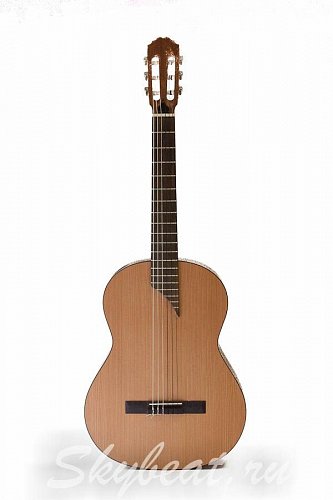 Испанская классическая гитара Мастеровая купить в Москве: цены, доставка, фото Испанская классическая гитара Мастеровая купить в Москве: цены, доставка, фото