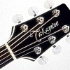 TAKAMINE ARTIST SW341SC STEVE WARNER SIGNATURE электроакустическая гитара с кейсом типа DREADNOUGHT CUTAWAY, цвет - черный купить в Москве: цены, доставка, фото TAKAMINE ARTIST SW341SC STEVE WARNER SIGNATURE электроакустическая гитара с кейсом типа DREADNOUGHT CUTAWAY, цвет - черный купить в Москве: цены, доставка, фото