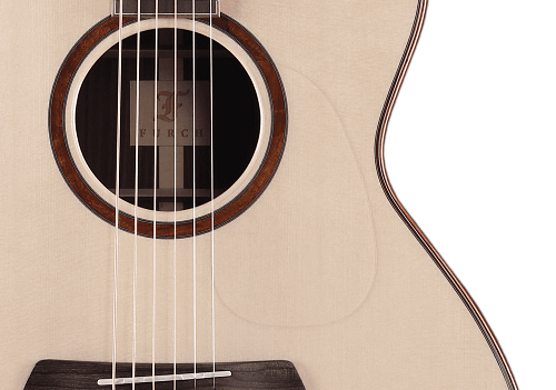 FURCH Pure Red OM-SR Акустическая гитара с кейсом купить в Москве: цены, доставка, фото FURCH Pure Red OM-SR Акустическая гитара с кейсом купить в Москве: цены, доставка, фото