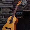 Классическая гитара FLIGHT C-120 NA купить в Москве: цены, доставка, фото Классическая гитара FLIGHT C-120 NA купить в Москве: цены, доставка, фото