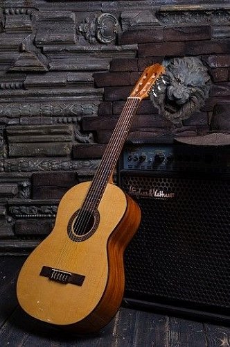 Классическая гитара FLIGHT C-120 NA купить в Москве: цены, доставка, фото Классическая гитара FLIGHT C-120 NA купить в Москве: цены, доставка, фото