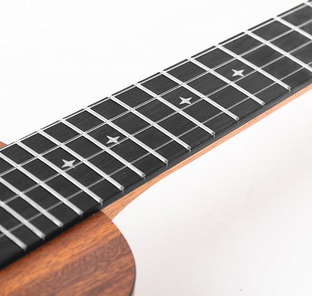 Укулеле Enya EUS-X1 купить в Москве: цены, доставка, фото Укулеле Enya EUS-X1 купить в Москве: цены, доставка, фото