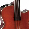 TAKAMINE LEGACY TB10 электроакустическая безладовая бас гитара, цвет коричневый купить в Москве: цены, доставка, фото TAKAMINE LEGACY TB10 электроакустическая безладовая бас гитара, цвет коричневый купить в Москве: цены, доставка, фото