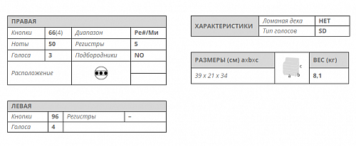 Баян Scandalli Tradizione Bloom купить в Москве: цены, доставка, фото Баян Scandalli Tradizione Bloom купить в Москве: цены, доставка, фото