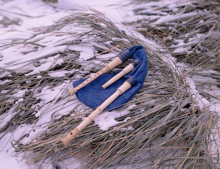 Шведская волынка Сакпипа продажа в Москве Шведская волынка Сакпипа купить в Москве: цены, доставка, фото